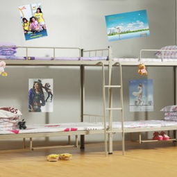 学校铁床批发采购指南 东莞连发办公设备厂优惠促销全面解析